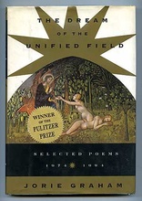 dream of the unified field cover